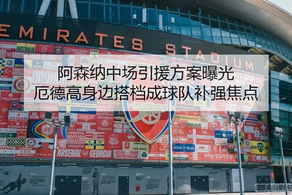 阿森纳中场引援方案曝光 厄德高身边搭档成球队补强焦点